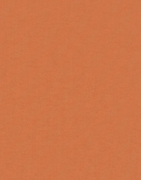 [225765] Polsterstoff Agra FR 765