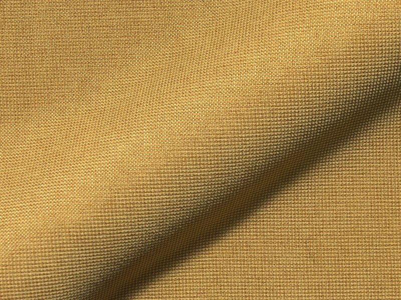 Best Plains